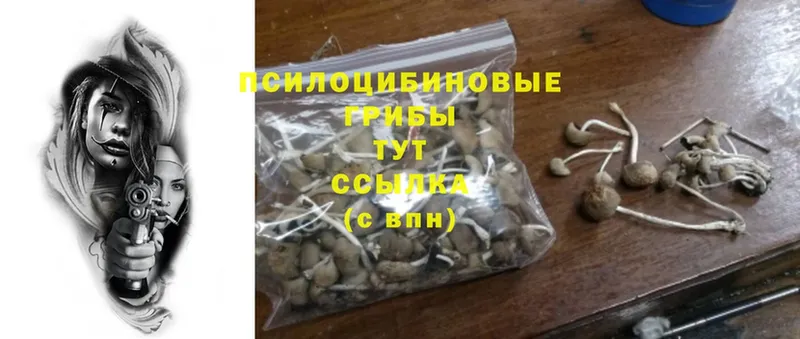 Псилоцибиновые грибы Psilocybine cubensis  как найти закладки  Фролово 